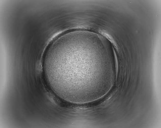 X0000087360628200704271438