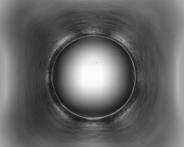 X0000087360629200704271438