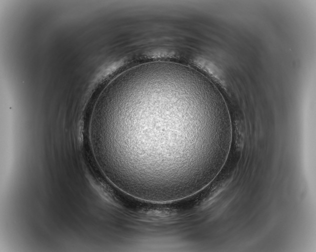 X0000087360631200704271438