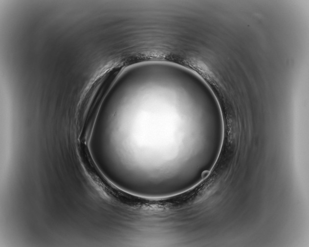 X0000087360634200704271438