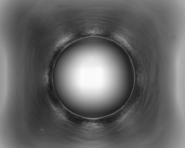 X0000087360635200704271438