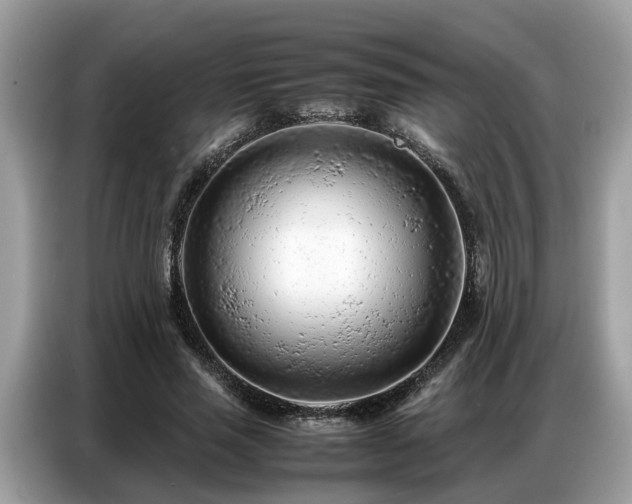 X0000087360637200704271438