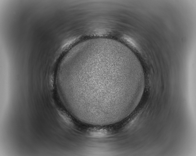 X0000087360640200704271438