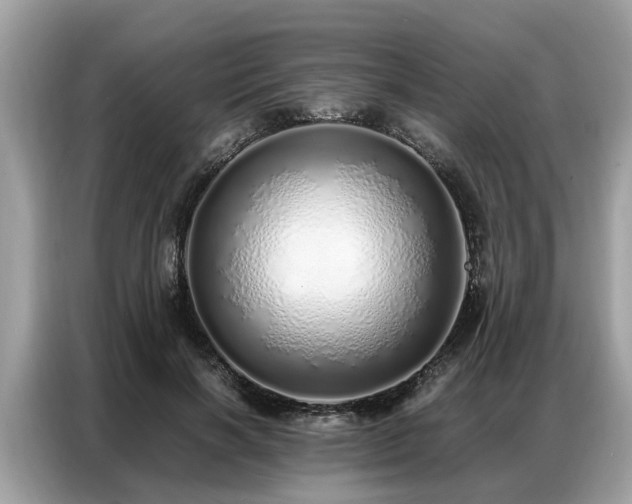 X0000087360646200704271438