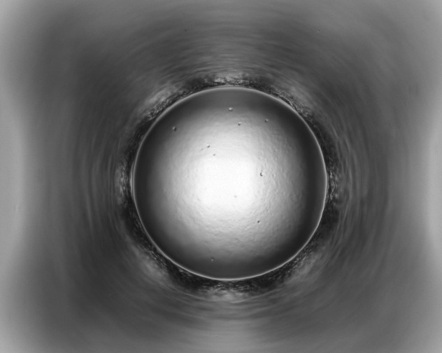 X0000087360648200704271438