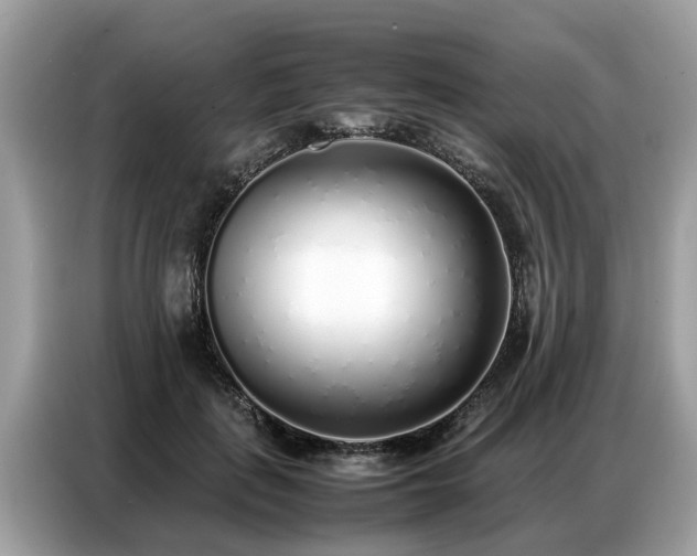 X0000087360651200704271438