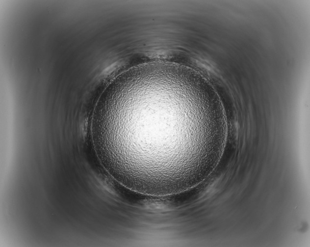 X0000087360652200704271438