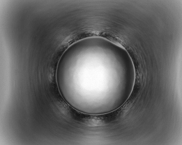 X0000087360656200704271438