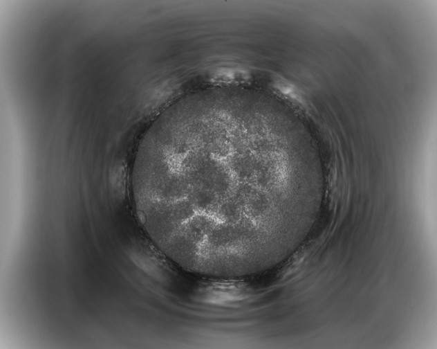 X0000087360659200704271438
