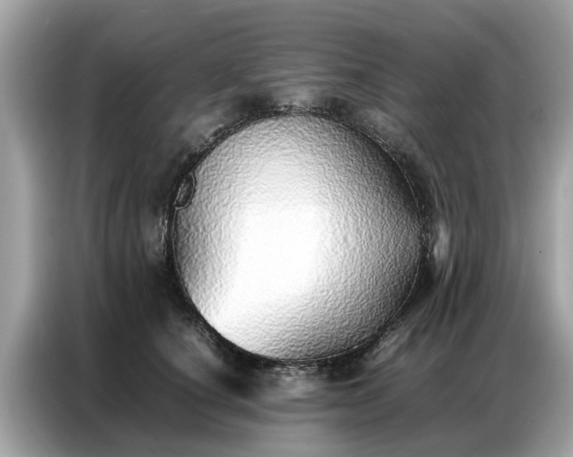 X0000087360660200704271438