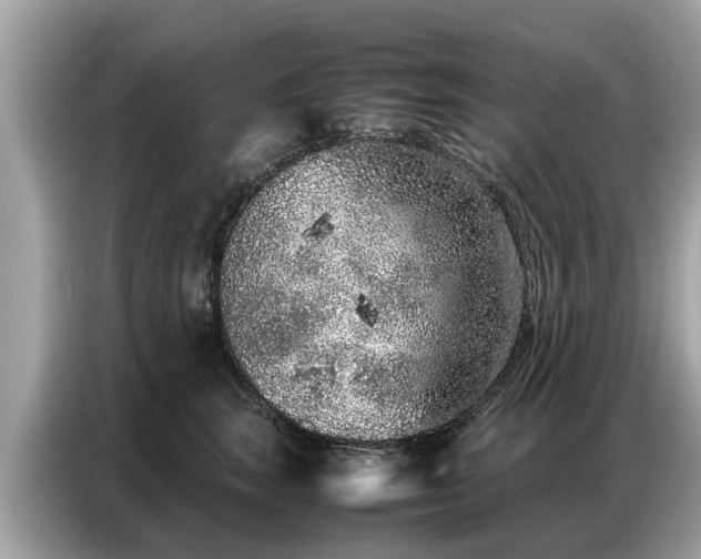 X0000087360663200704271438