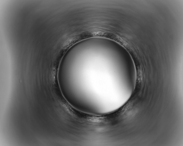 X0000087360664200704271438