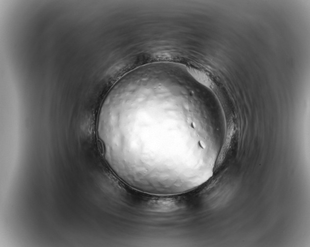 X0000087360665200704271438