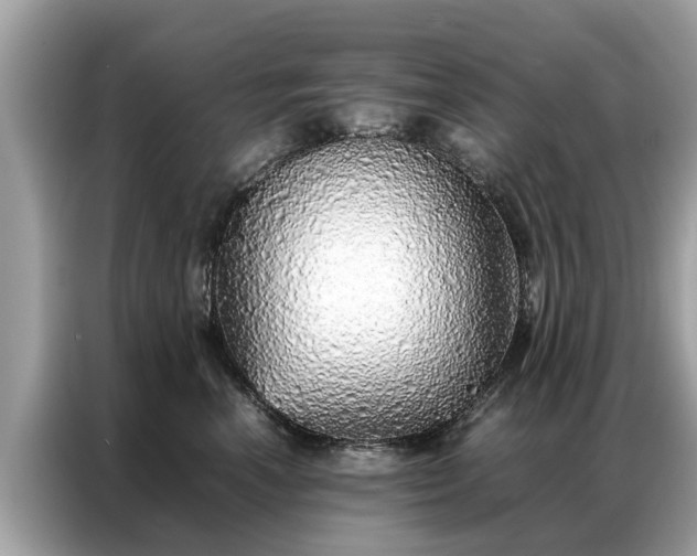 X0000087360666200704271438