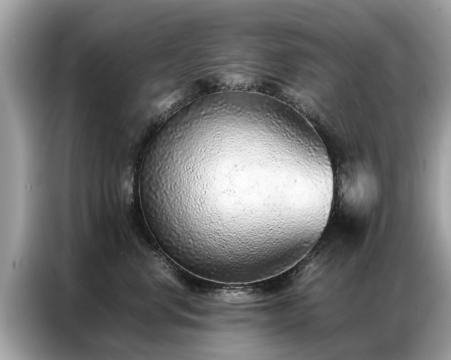 X0000087360668200704271438