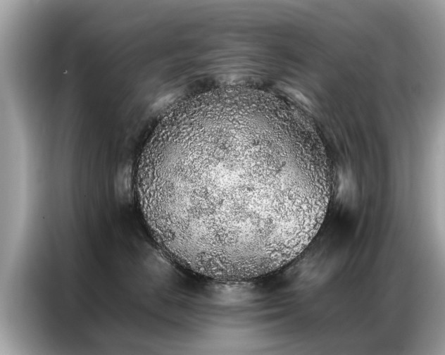 X0000087360670200704271438