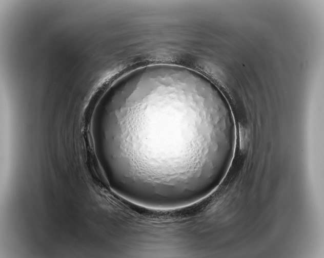 X0000087360675200704271437