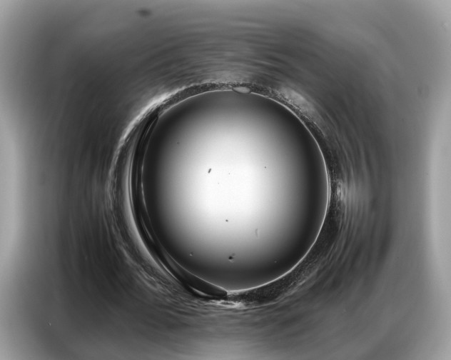 X0000087360676200704271437