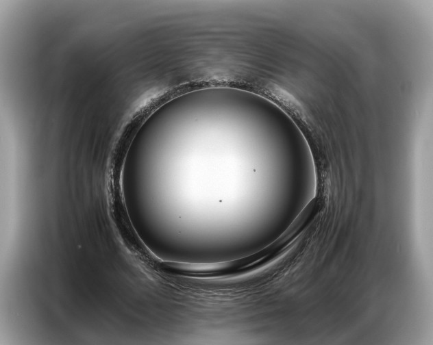 X0000087360680200704271437