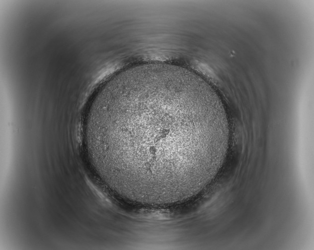 X0000087360683200704271437