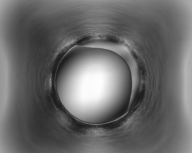 X0000087360685200704271437