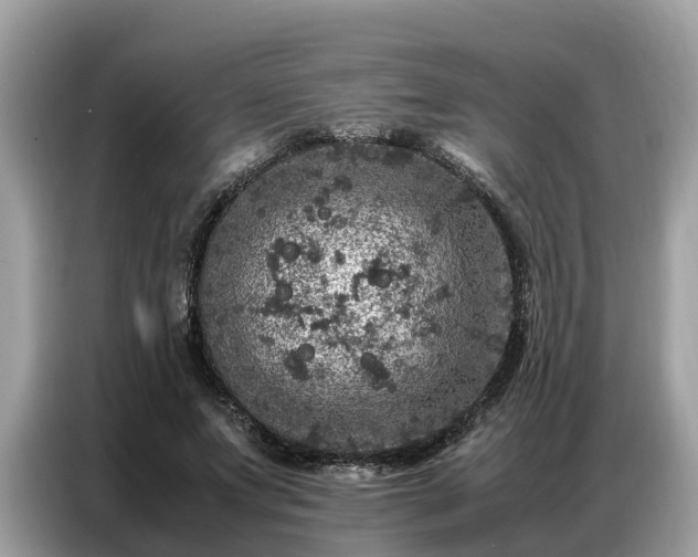 X0000087360687200704271437