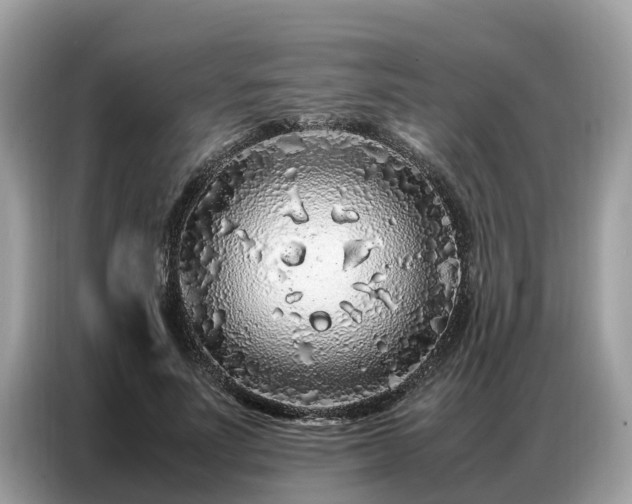 X0000087360691200704271437