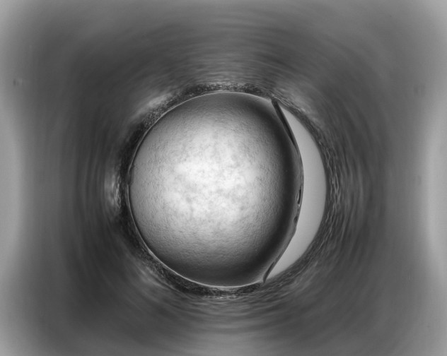 X0000087360692200704271437