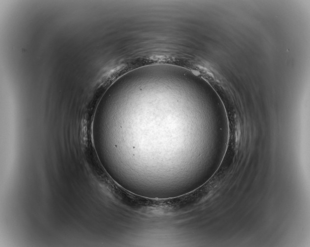 X0000087360696200704271437