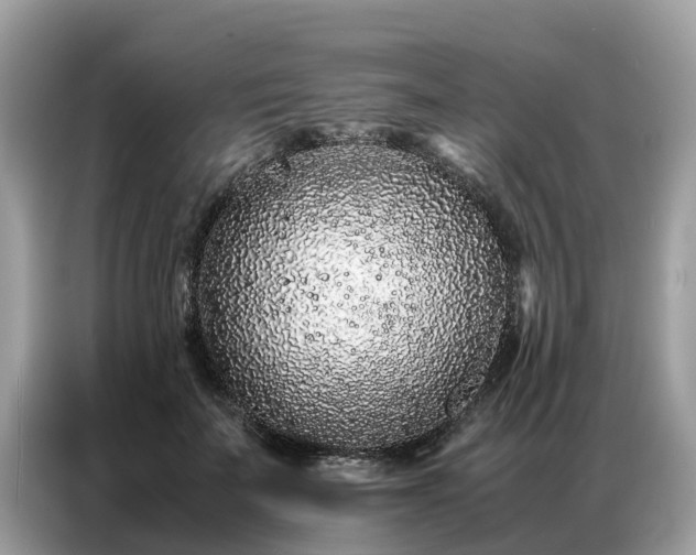 X0000087360699200704271437