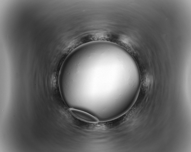 X0000087360715200704271437