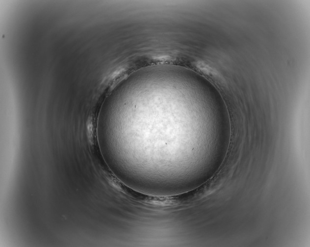 X0000087360720200704271437