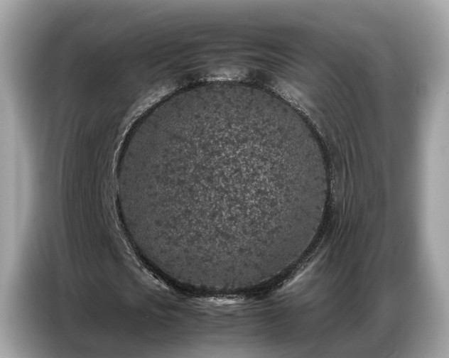 X0000087360721200704271436