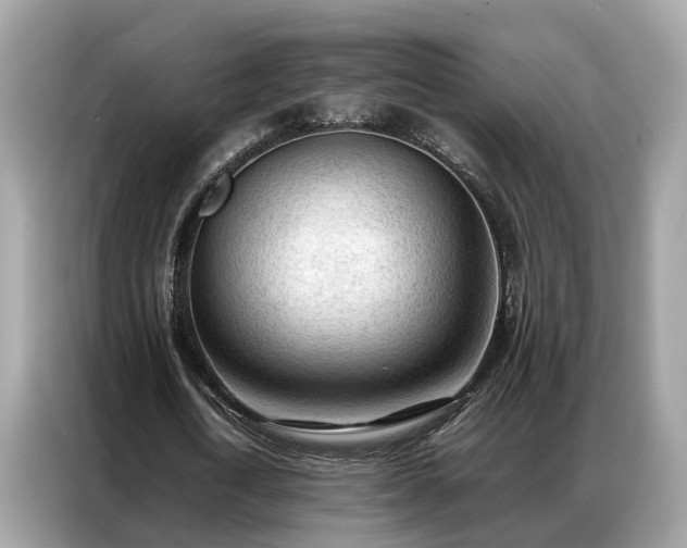 X0000087360722200704271436