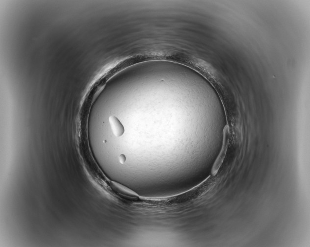 X0000087360726200704271436
