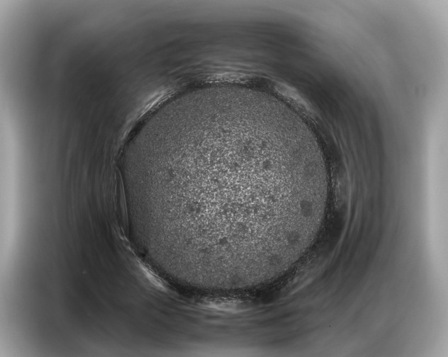 X0000087360729200704271437