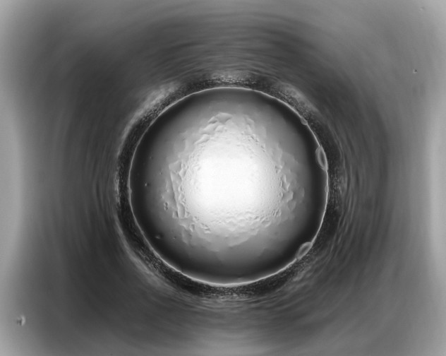 X0000087360734200704271437