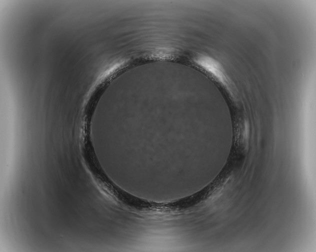 X0000087360736200704271437