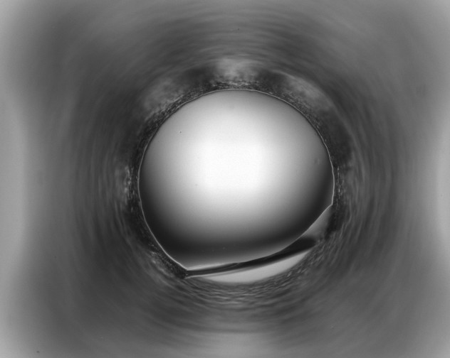 X0000087360752200704271437