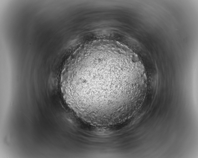 X0000087360753200704271437