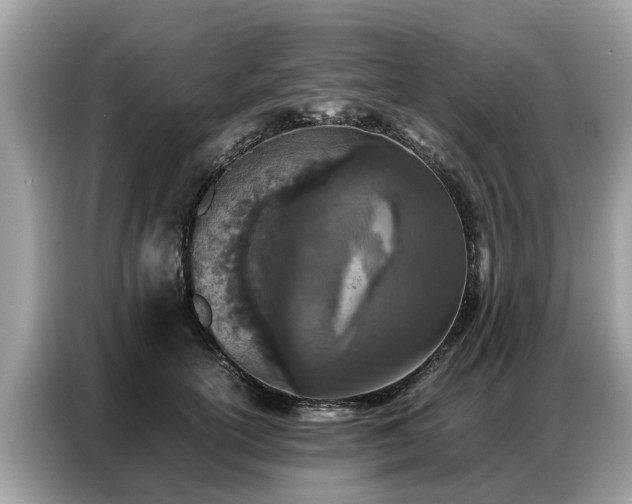 X0000087360754200704271437