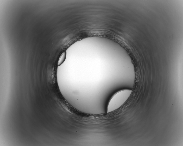 X0000087360764200704271437