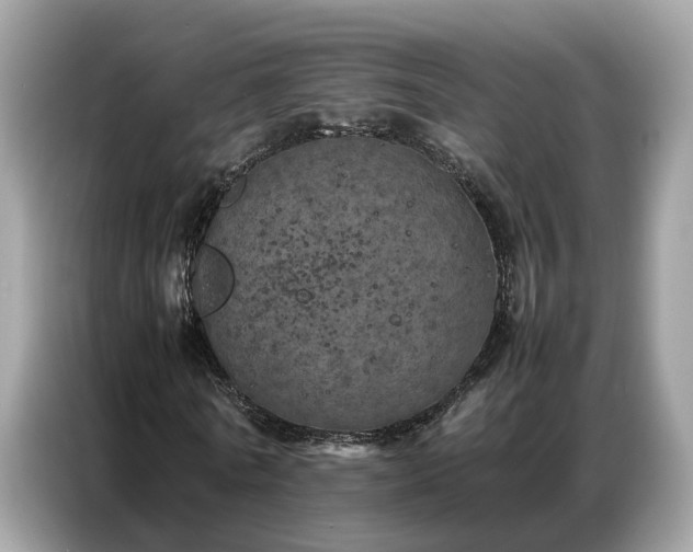 X0000087360770200704271436