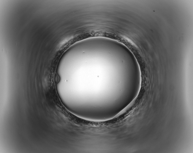 X0000087360775200704271436