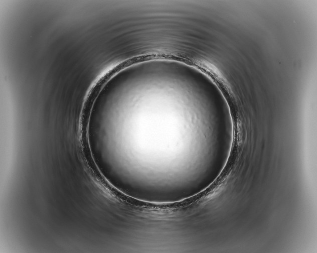 X0000087360780200704271436