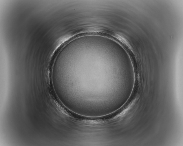X0000087360781200704271436
