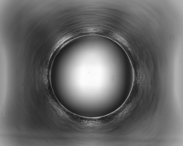 X0000087360786200704271436
