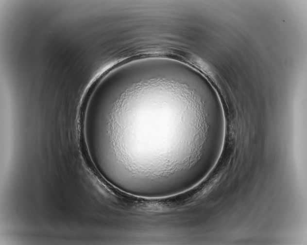 X0000087360787200704271436