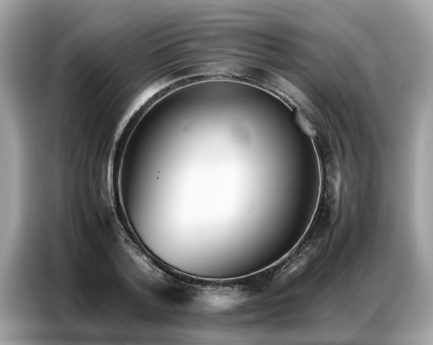 X0000087360788200704271436