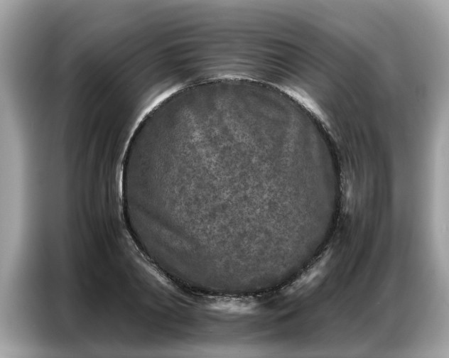 X0000087360790200704271436